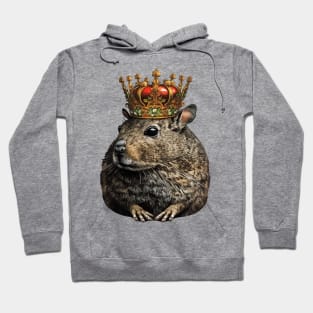 Degu Wearing a Crown Hoodie